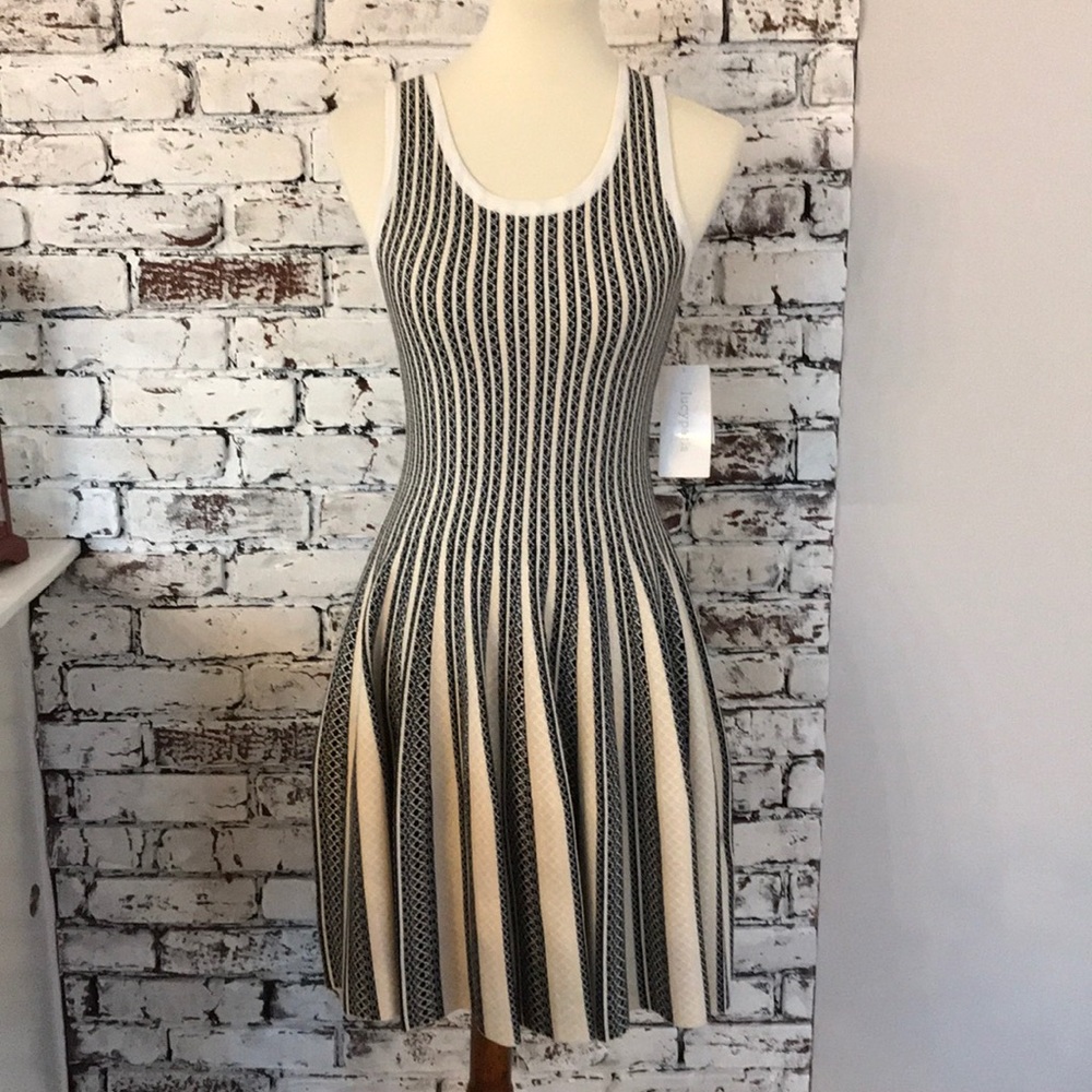 NWT Fit & Flare Knit Dress